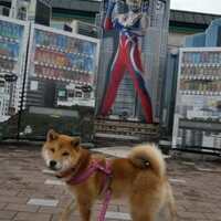 2月・3月は　軽井沢月間！？　前編　またしても軽井沢へ！　打って変わった雪景色☆