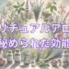 スピリチュアルアロマの秘められた効能