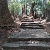 【旅】熊野古道と熊野三山のパワーお裾分け。
