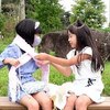 10月23日の動画