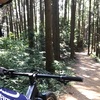 埼玉日高市トレイル探索+MTB備忘録