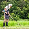 草刈り 筑前庄内