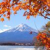 【ご報告！】はてなブログ開設2年3ヶ月！！アクセス数他今後の目標🍁