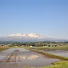 初ヒルクライムレースが楽しすぎた【鳥海山ブルーラインヒルクライムレース】