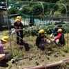 あおぞら：畑の草取り