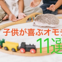 工具おもちゃ 息子の誕生日にボッシュのミニワークセンターをプレゼント 平成生まれももうアラサー