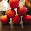 青森のりんご・りんご農家の友達がりんごを持ってきてくれました🎶甘くて凄く美味しいー💕