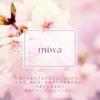 新しい自己紹介と"miwa"と桜