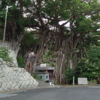 屋久島ぺろりん飲食盛衰記 ㉓ 中間 NAKAMA