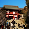 鎌倉・鶴岡八幡宮の成人式がスゴくステキでした