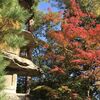 【仙台で紅葉の綺麗なお寺】１１月９日の【輪王寺】。赤みがもうちょっとです。