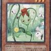ナチュル・ローズウィップ【MDでは禁止に】