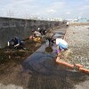 いよいよ今週末は森ヶ崎水再生センター屋上営巣地　春の整備作業です。