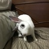 ただいま♡