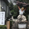 神話の里　宮崎高千穂を歩く⑦　天岩戸神社