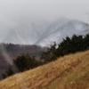 秦野　転　天気　　最高気温7度　雨