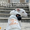 Happy Halloween 2024