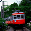 線路の両側に咲くアジサイの花と、箱根登山鉄道を往くモハ1形を撮る！