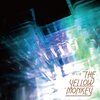 砂の塔 / THE YELLOW MONKEY ディスクレビュー「再集結」