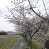 2日で300km 桜とダム三昧