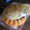 飛べ！　ダイちゃん。