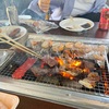 【子連れBBQ】ロピアで買い出しからのバーベキューが最高だった話【鶴見緑地】