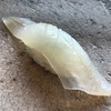 キスの握り寿司