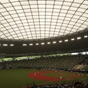 スポーツ観戦で生きろ！～ヲタク脳人間の世界〜