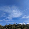 【高校受験】夏の成果が出ました。模試の結果を見て思うこと