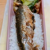 今回のイワシの脂のノリ