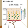 乾燥肌、敏感肌のお子さんへ。