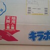 ホクホクのさつまいも♪むろとの味・西山きんとき【５㎏】　高知県   室戸市　コスパ重視のふるさと納税2015版