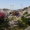 平成30年度大谷祭礼　曳初めを写真メインで。