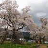 また置賜に花見に行く