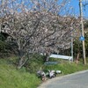 農作業の日々(⁠◕⁠ᴗ⁠◕⁠✿⁠)30