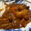 7月4日（木）Mさんとウエビナー、ハヤシライス、スシロー