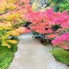 紅葉の名所！雪舟の逸話が残る【宝福寺】＠総社