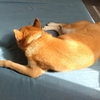 季節の変わり目
