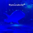 rocinante70’s blog