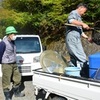 企業共同放流(浦山・赤平・荒川本流)実施