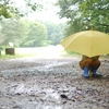 雨降って地固まる