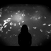 aquarium 001