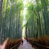 竹林の路