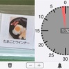 【自閉症児】なぜ、絵カードタイマーだと「待てる」のか？