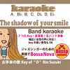 The shadow of your smile/「いそしぎ」の歌詞・曲解説・和訳・カラオケ（Demo Vocal 鈴木輪）