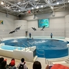 いおワールド かごしま水族館 （鹿児島県鹿児島市）