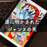 シャーマンキングの主人公たちの その後 をまとめてみた 人生おもしろ 漫画8割 音楽2割の考察ブログ