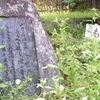 野中川原史満「山川に 鴛鴦二つゐて 偶ひよく たくへる妹を 誰か率にけむ 」