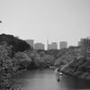 全国3位のお花見スポット、千鳥ヶ淵～靖国神社へのお花見散歩（A cherry blossom viewing walk from Chidori-gabuchi to Yasukuni Shrine, the third-largest cherry-blossom viewing spot in Japan）