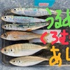 【釣り】久々にアジを釣ったので２日続けて用宗漁港にいってみた！